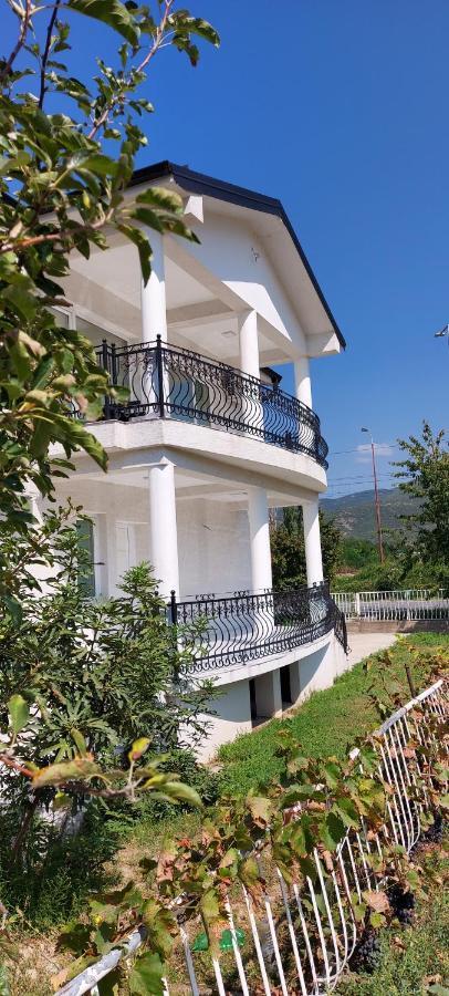 Villa Bratislava Demir Kapija Buitenkant foto