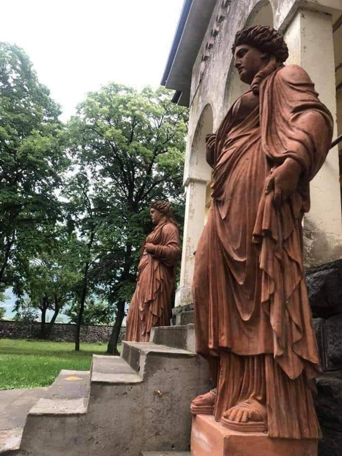 Villa Bratislava Demir Kapija Buitenkant foto